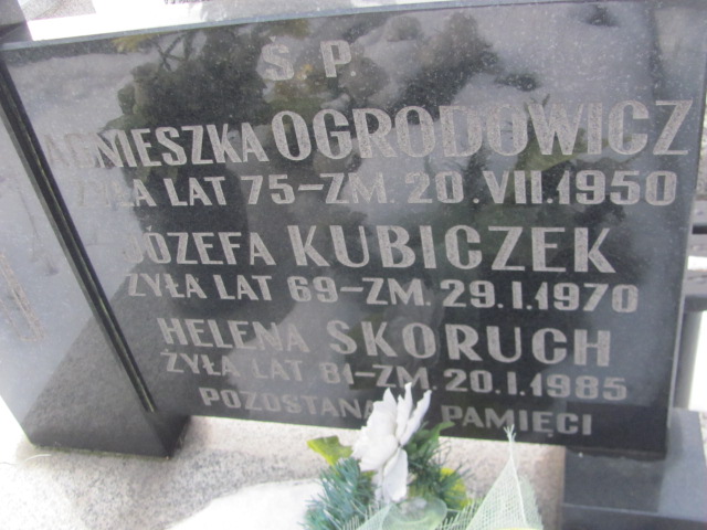 Agnieszka Ogrodowicz Częstochowa Kule - Grobonet - Wyszukiwarka osób pochowanych