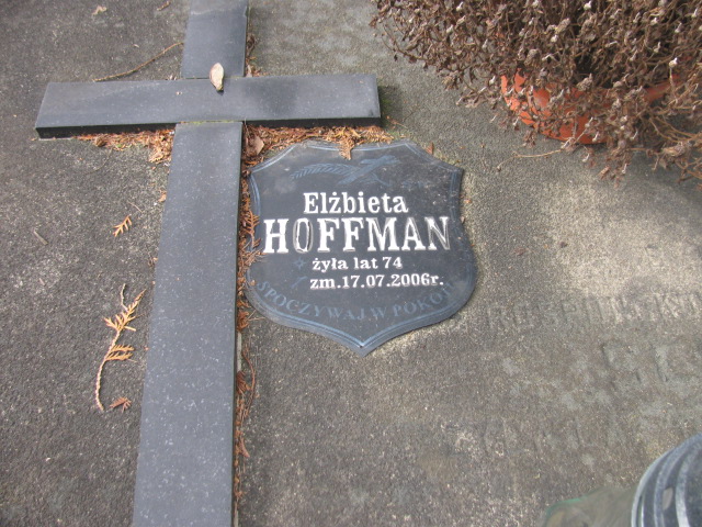 Rafał Hoffman 1961 Częstochowa Kule - Grobonet - Wyszukiwarka osób pochowanych