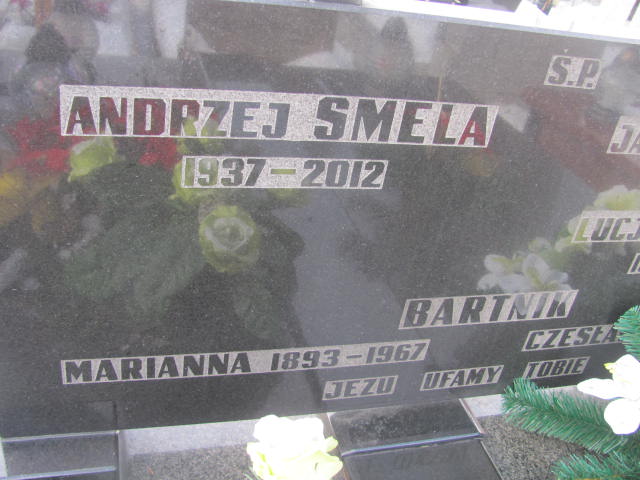 Marianna Bartnik 1892 Częstochowa Kule - Grobonet - Wyszukiwarka osób pochowanych