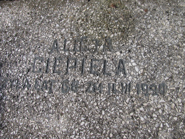 Marian Koch Częstochowa Kule - Grobonet - Wyszukiwarka osób pochowanych