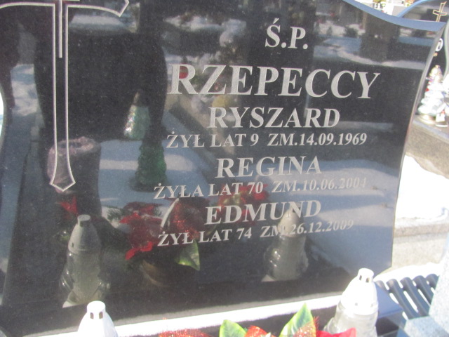 Ryszard Rzepecki Częstochowa Kule - Grobonet - Wyszukiwarka osób pochowanych
