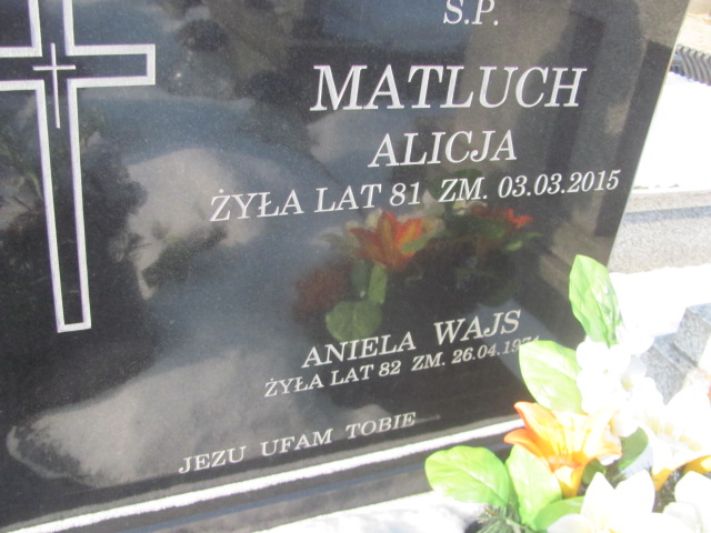 Tomasz Moszczyński 1980 Częstochowa Kule - Grobonet - Wyszukiwarka osób pochowanych