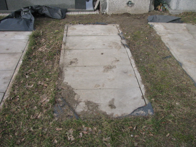 Henryk Dmitruczuk 1948 Częstochowa Kule - Grobonet - Wyszukiwarka osób pochowanych