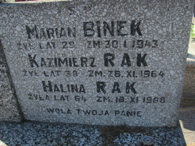 Jolanta Tarnowska  1954 Częstochowa Kule - Grobonet - Wyszukiwarka osób pochowanych