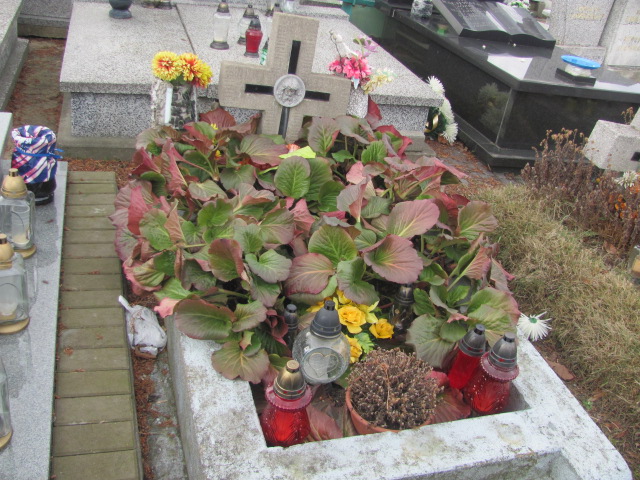 Jerzy Idościak Częstochowa Kule - Grobonet - Wyszukiwarka osób pochowanych