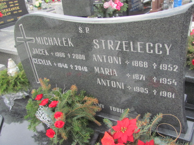 Antoni Strzelecki 1904 Częstochowa Kule - Grobonet - Wyszukiwarka osób pochowanych