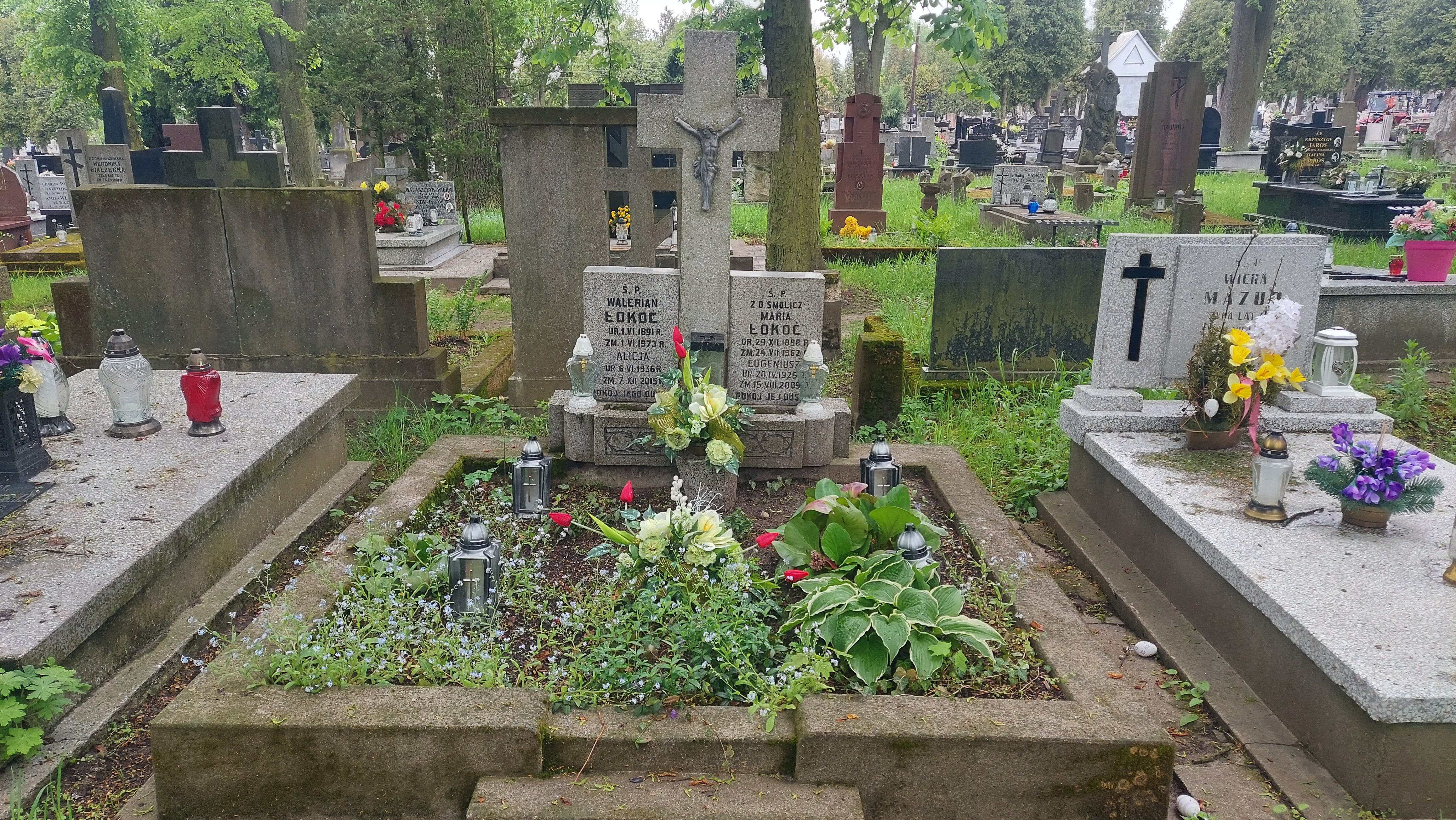 Eugeniusz Łokoć 1926 Częstochowa Kule - Grobonet - Wyszukiwarka osób pochowanych